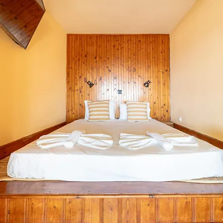 Arte Case de vacanță